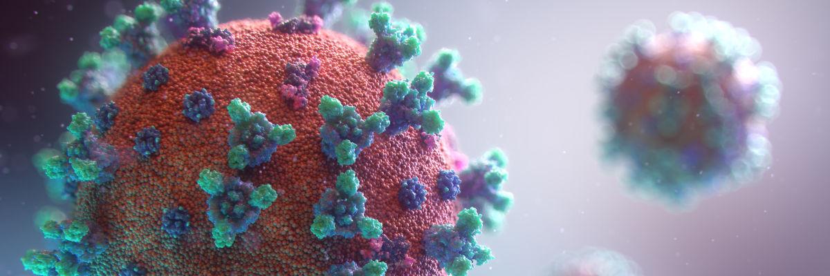 corona page header